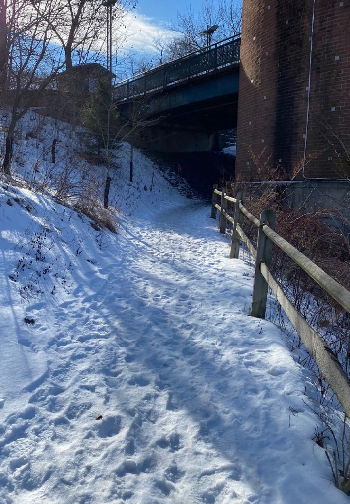 Pittsburgh Zoo Trail Tall